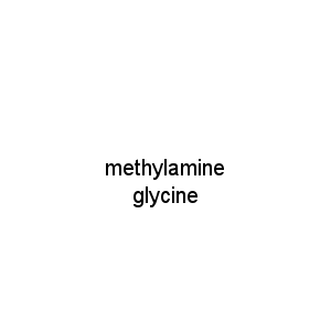 methylamine glycine